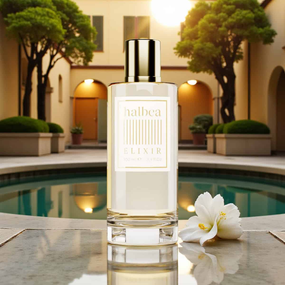 Sorgenta Halbea 240 Elixir