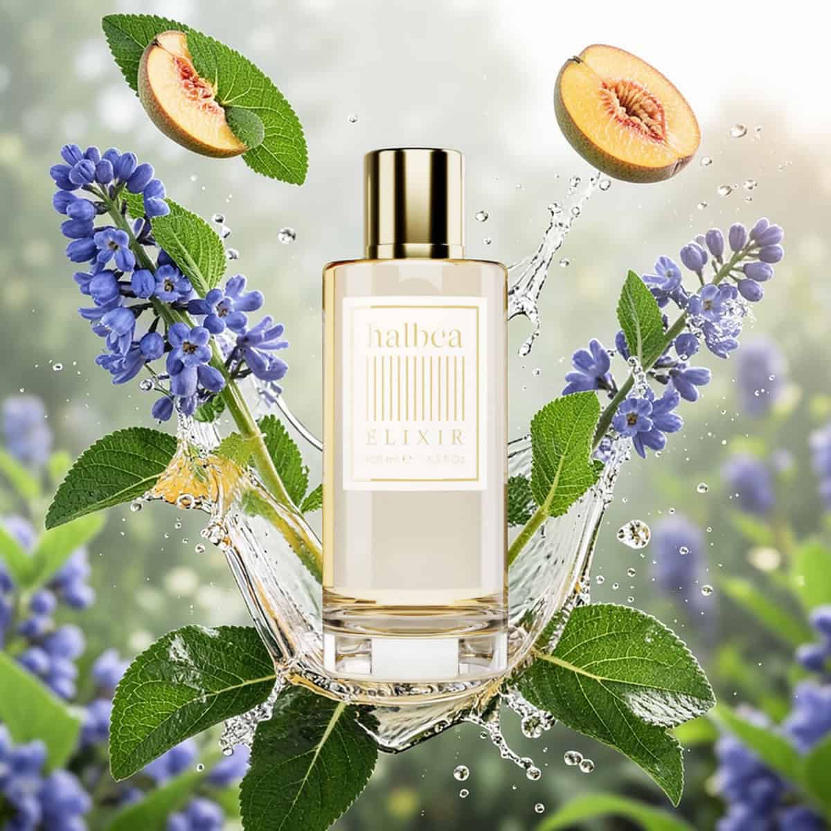 Sorgenta Halbea 168 Elixir Damen
